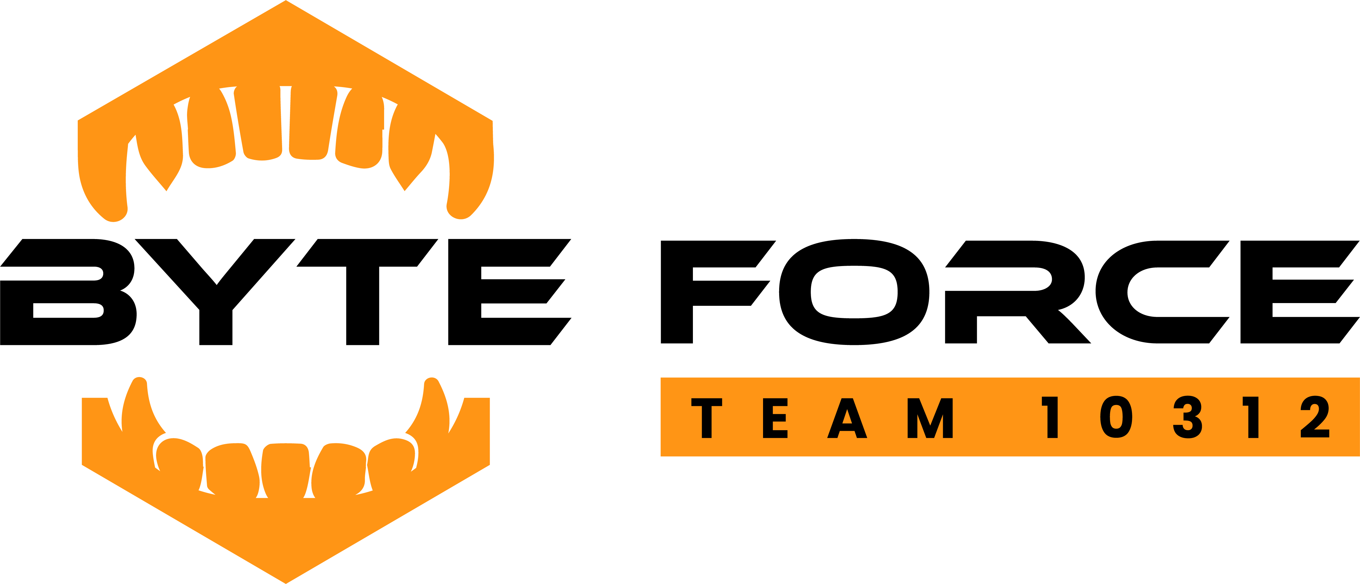 Team 10312 Logo